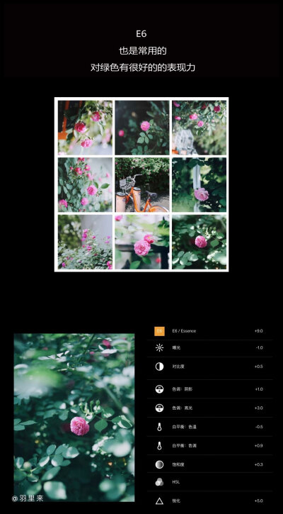 分享常用的9款VSCO滤镜
▫️静物 | 街拍 | 探店 | 花植 | 日常
cr@羽里来 ​