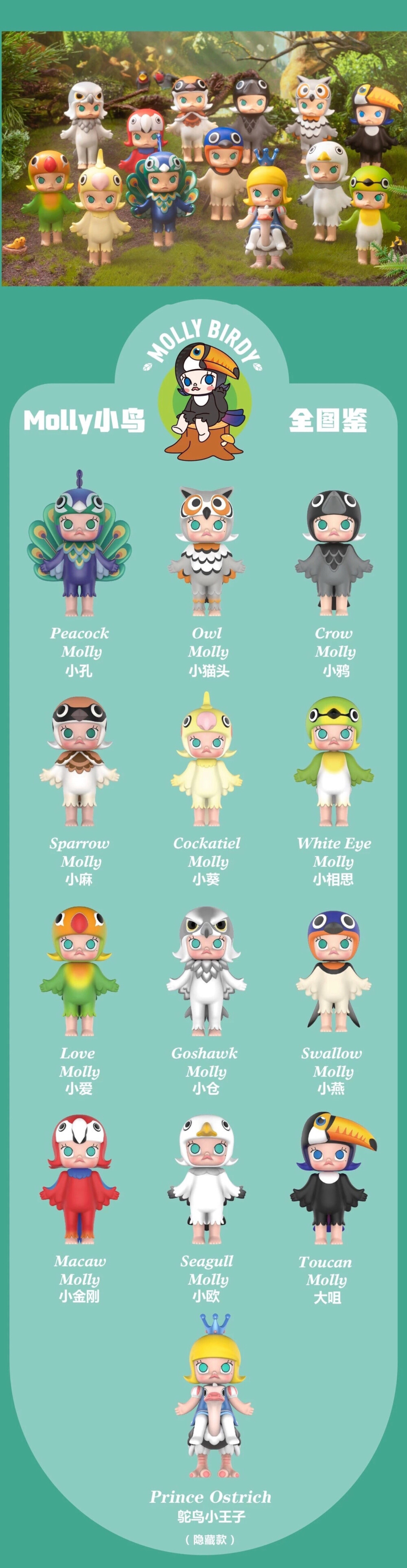 molly小鸟系列