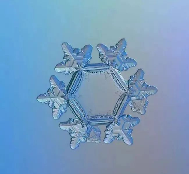 雪花