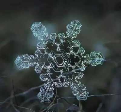 雪花