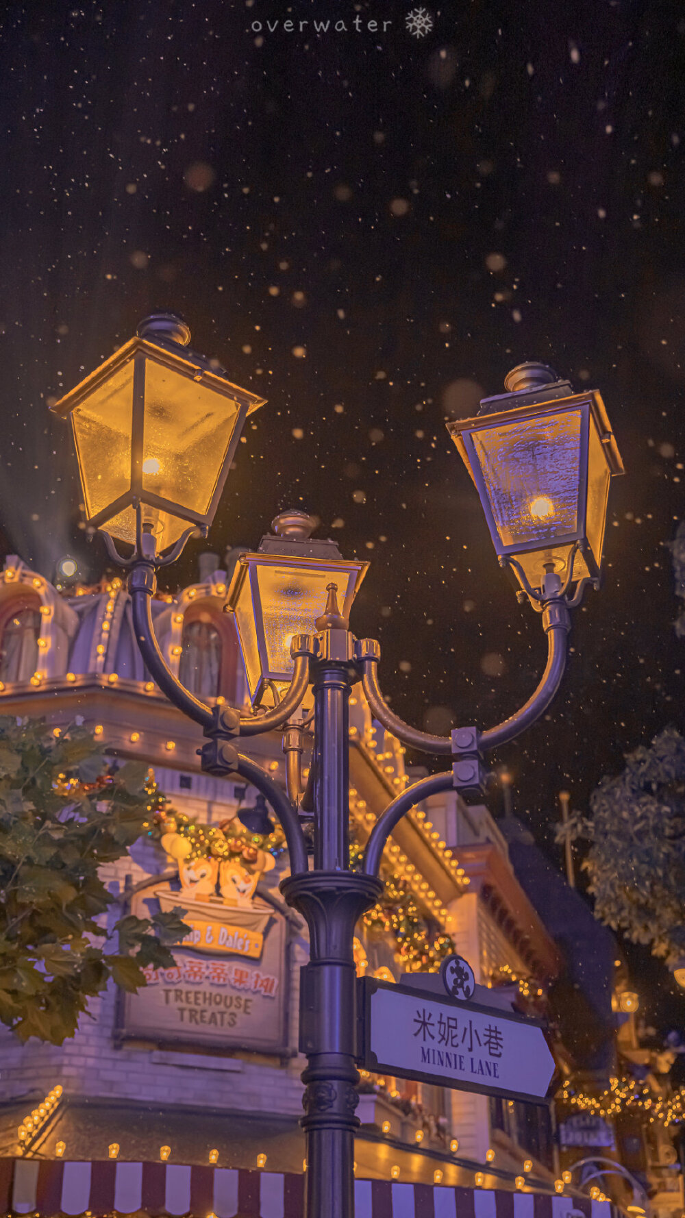 把雪花和星星都挂在圣诞树上
✨「❄️ 迪士尼 」
摄影：@overwater