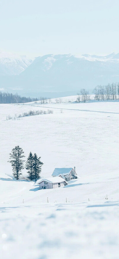 雪下的那么深
下的那么认真