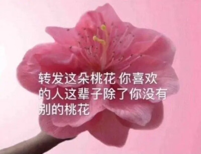 沙雕头像