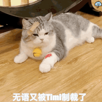 雨伞