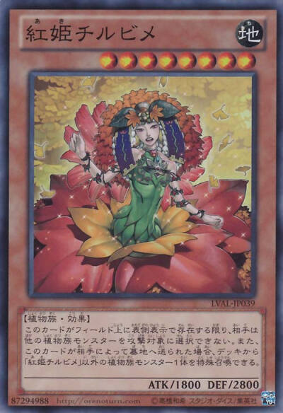 花姬8 红姬 知流姬