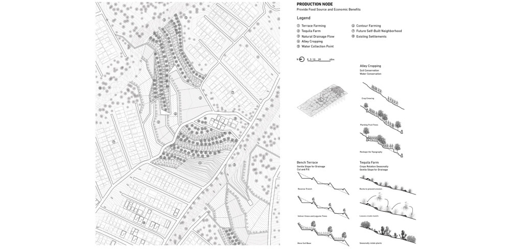 Topographic Urban Expansion - A Landscape Armature on Hillsides of Mexico City