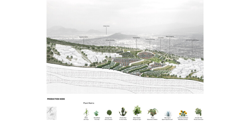 Topographic Urban Expansion - A Landscape Armature on Hillsides of Mexico City