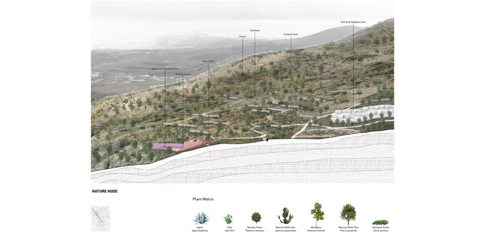 Topographic Urban Expansion - A Landscape Armature on Hillsides of Mexico City