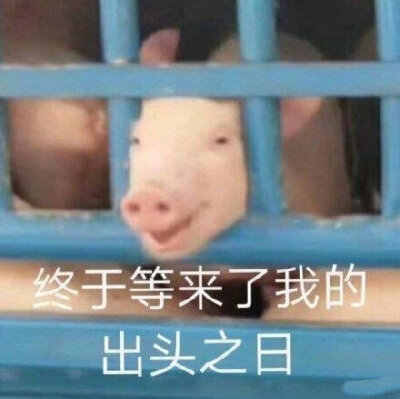 好可爱啊