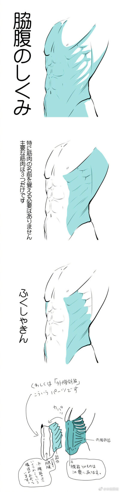 胸肌