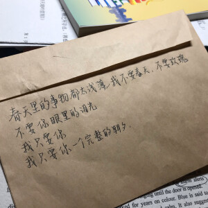 “春天里的事物都太浅薄，我不要春天，不要玫瑰，不要你眼里的泪光，我只要你，我只要你一个完整的朝夕”