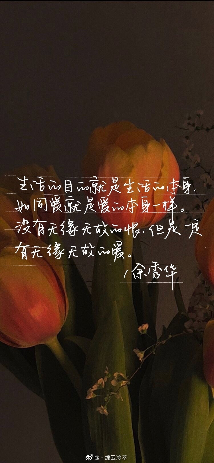 手写壁纸 摘抄