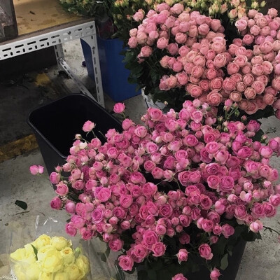 鲜花 花店 花