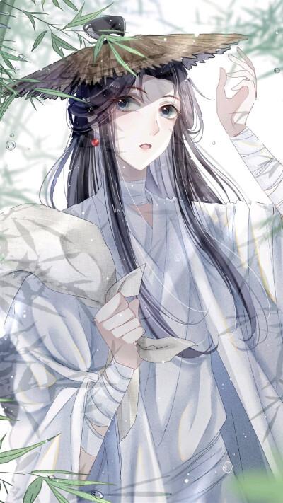 花城谢怜 天官赐福