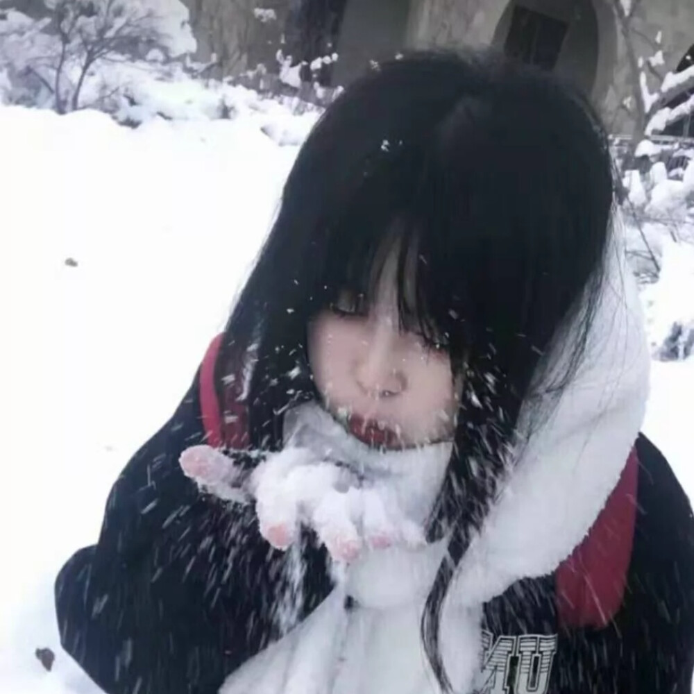 年年有雪 雪吹年年 落落即融融 落落亦如此