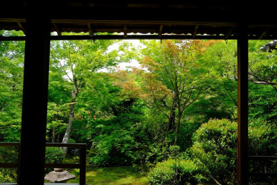 大法院所在的妙心寺是临济宗妙心寺派大本山