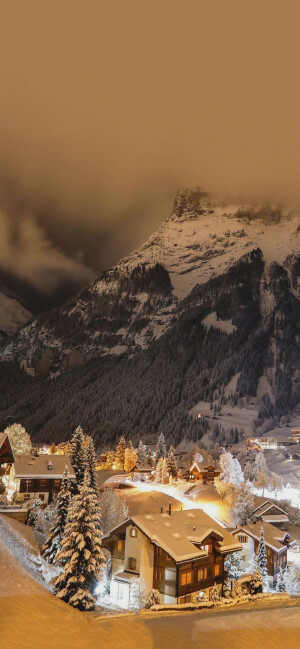 雪景