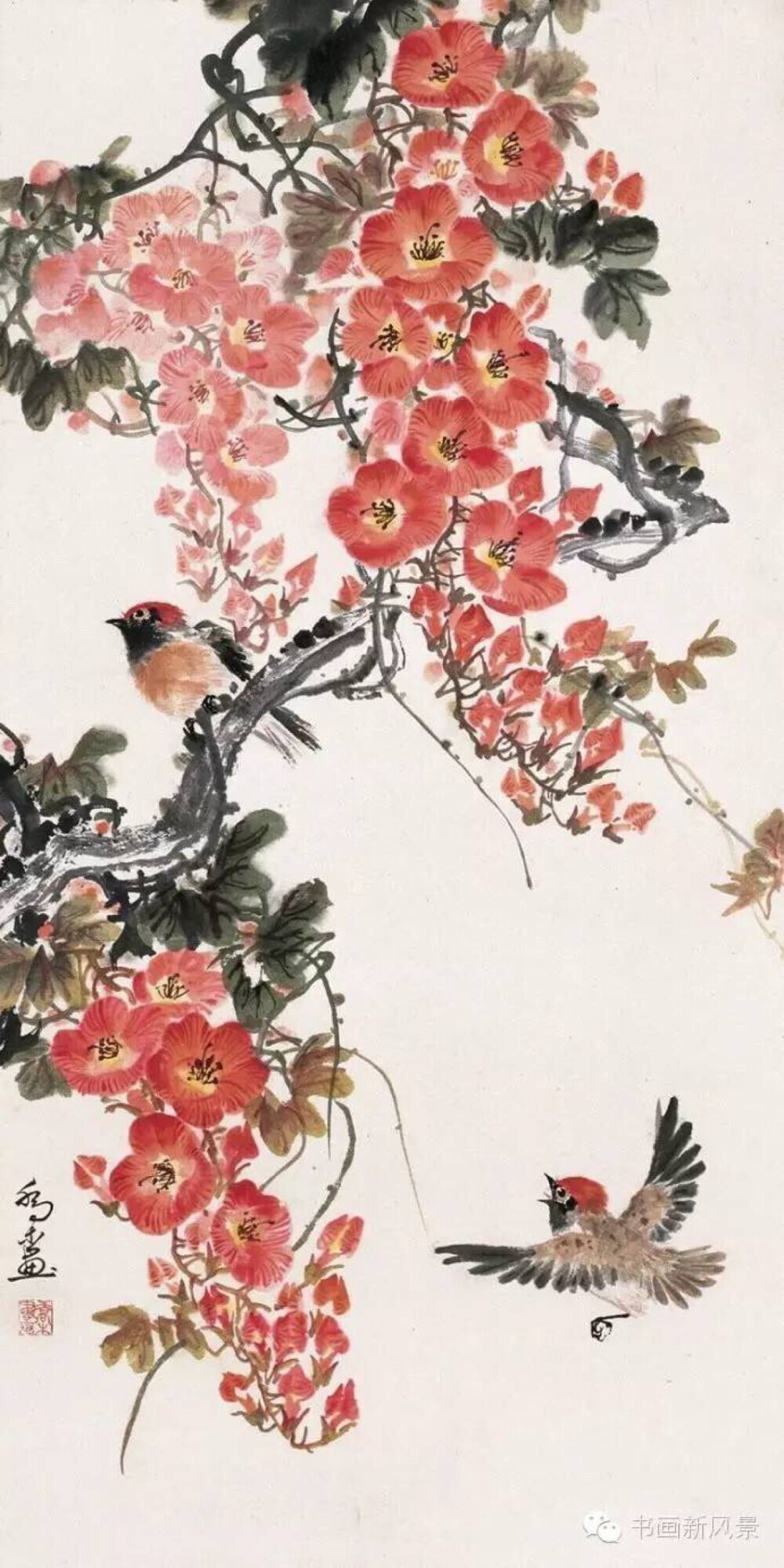 国画
花鸟