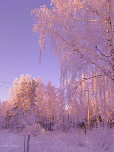 “想和你一起看雪”