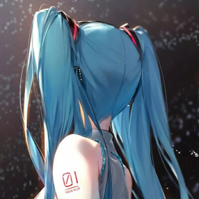 乱入两张初音