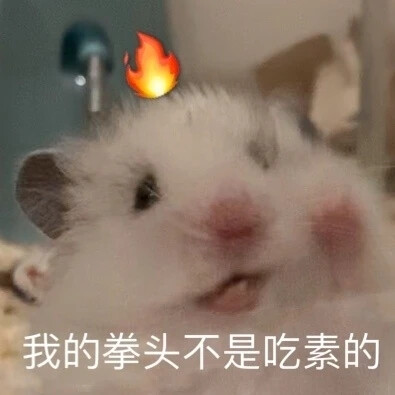 小苍许：要鼠鼠一直☹️吗