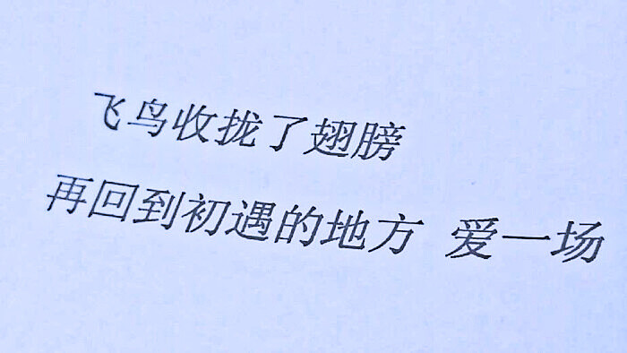 如果生活很苦就做一个甜甜的梦吧 要不了多久圣诞 新年 烟火 这些美好与温柔都会如约而至