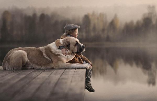 儿童与动物的温馨