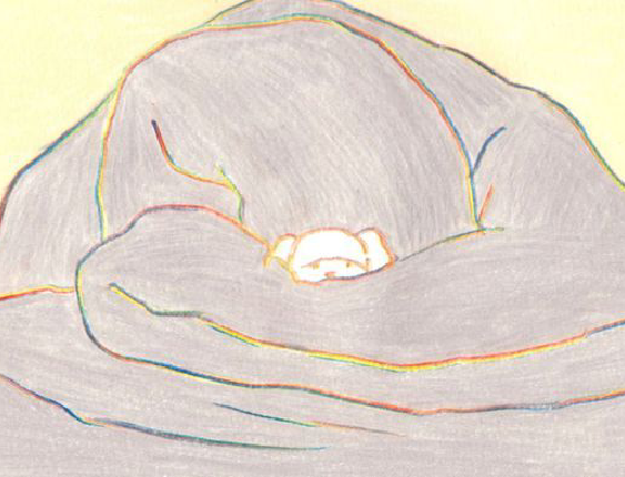 ·彩插集·
猫咪插画
|日本插画家寺岡奈津美（Teraoka Natsumi） ​​​