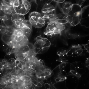 裴珠泫。

二传注明渝州俊生or蒋以陌  
背景图妖九