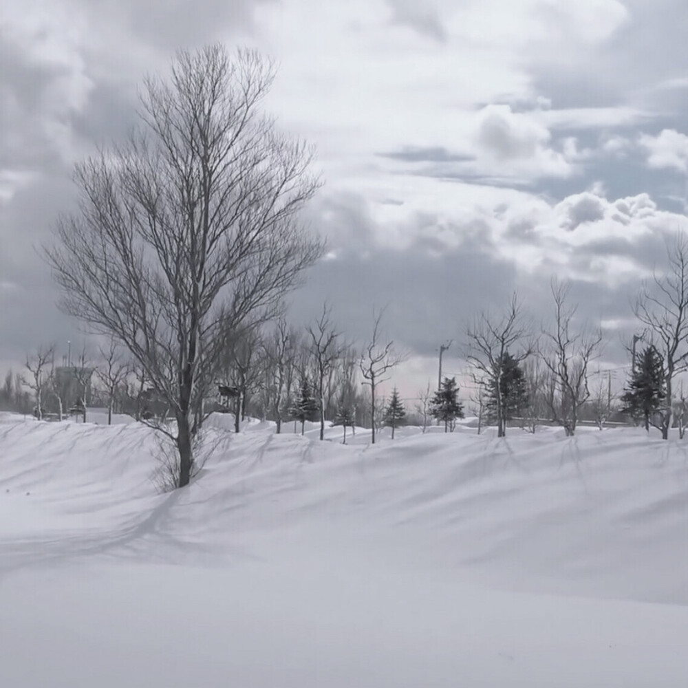 *
少年嬉戲 * 雪裡追逐 / 浪明前 ：