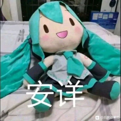 初音fufu