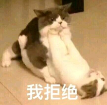 猫猫的表情包