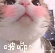 猫猫的表情包