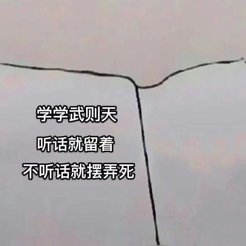 表情包