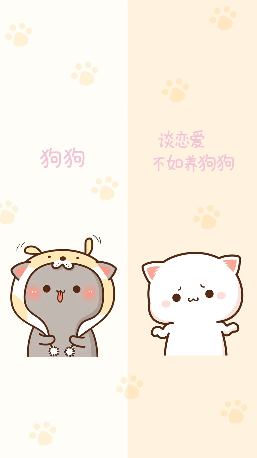 蜜桃猫