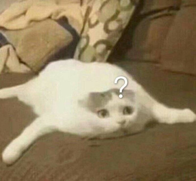 「猫猫表情」
图源网络侵删