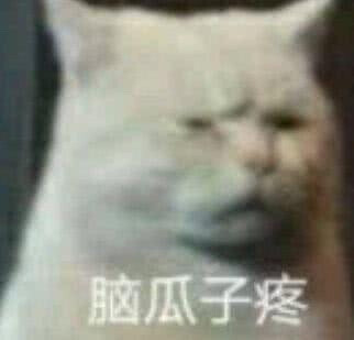 「猫猫表情」
图源网络侵删