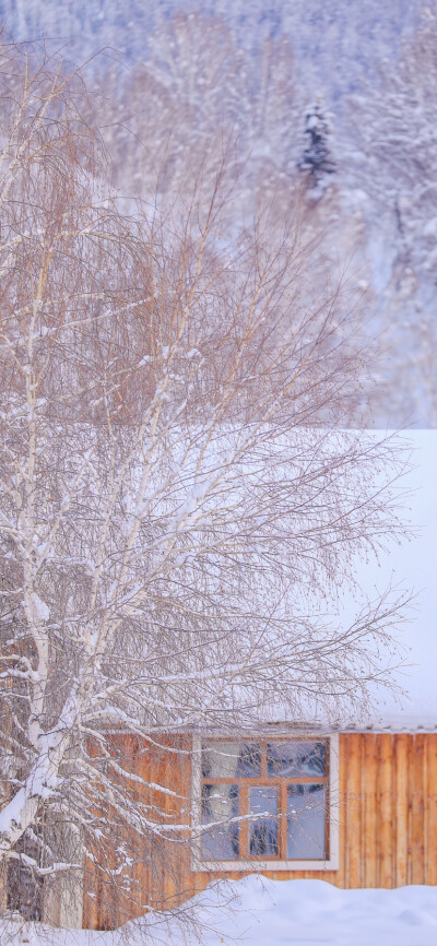 雪天壁纸