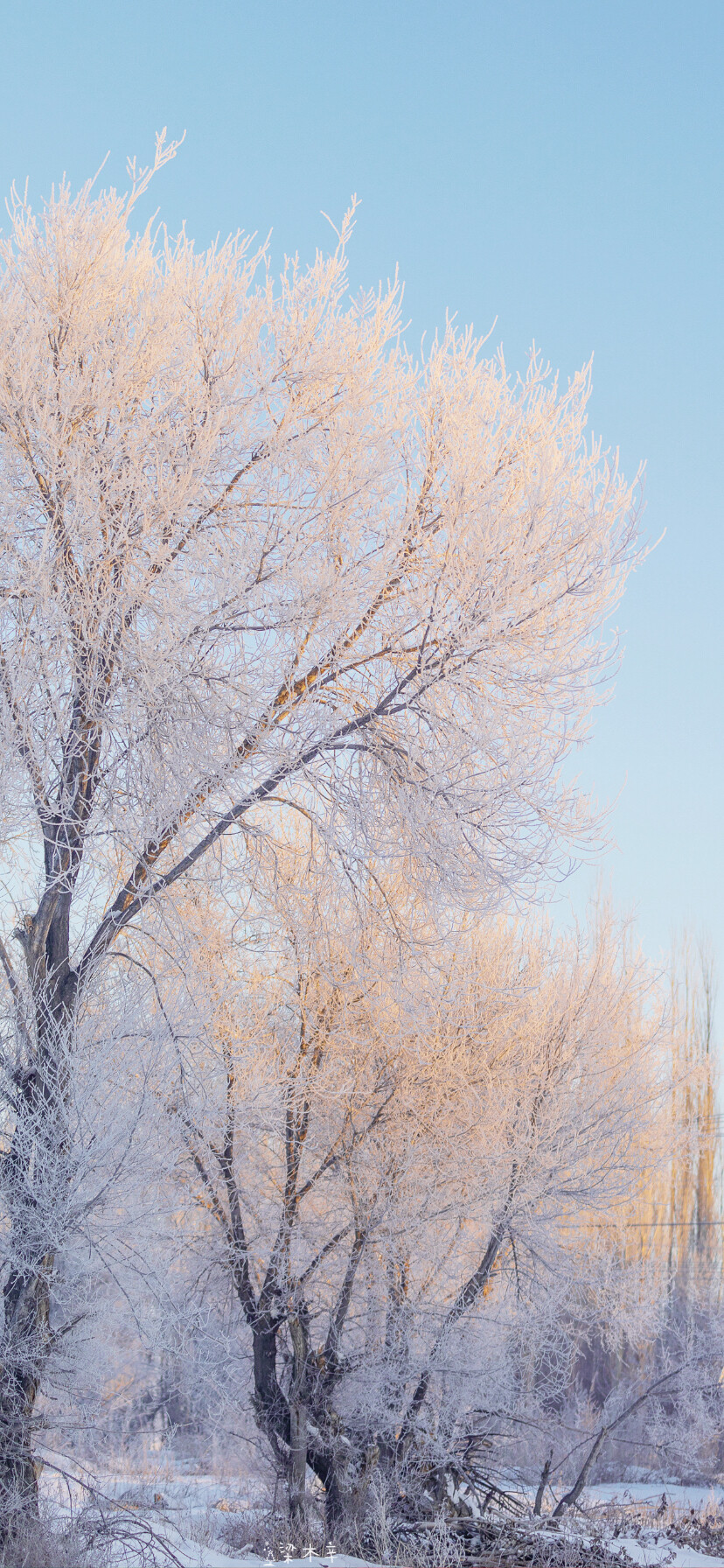 雪天壁纸