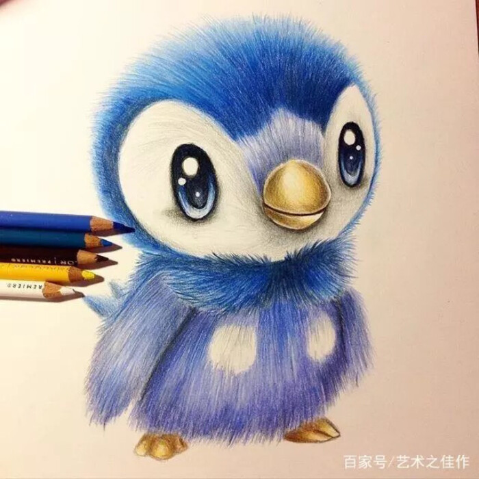 彩铅 动物 鸟