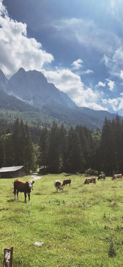 高清风景壁纸