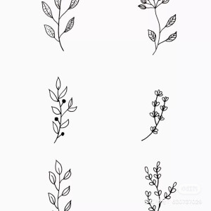 板报