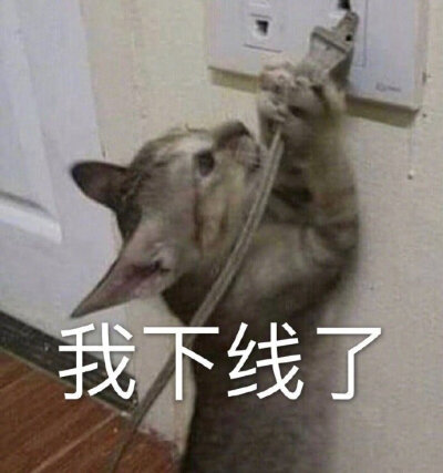 表情包