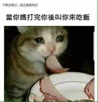 哈哈