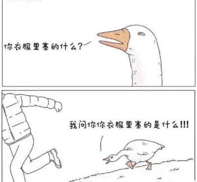 你管我！？溜了溜了～