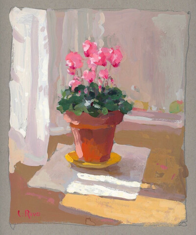 通透的花卉静物画面
＠：Lena Rivo