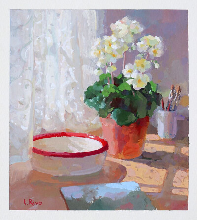 通透的花卉静物画面
＠：Lena Rivo