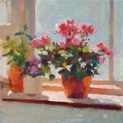 通透的花卉静物画面
＠：Lena Rivo