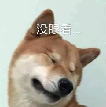 狗狗