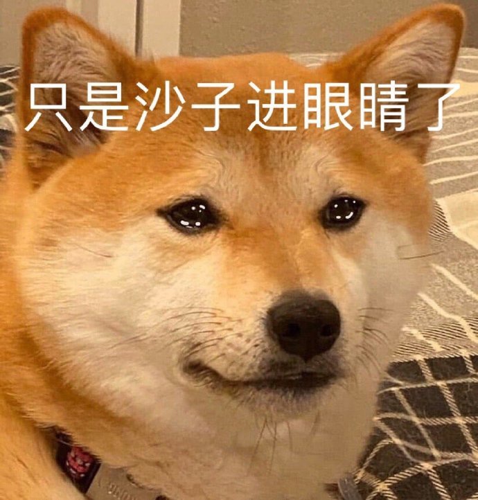 狗狗